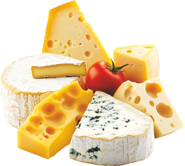 Dairy & Spray-Dried Powders